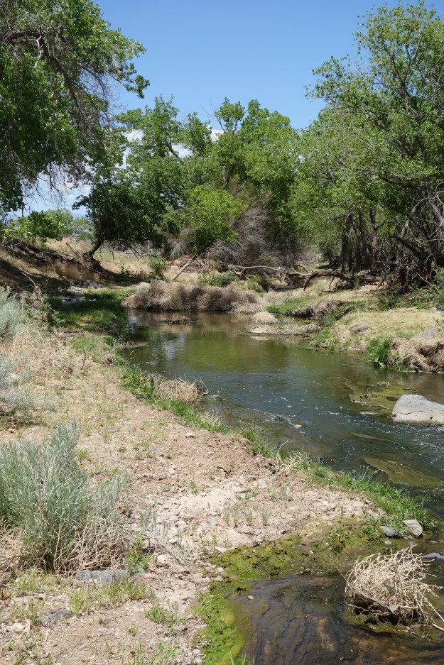 Santa Fe River 15 miles downstream from the city of Santa Fe