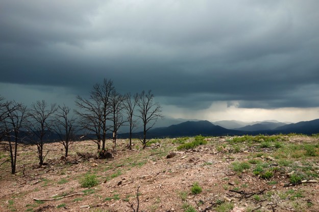 Forest fire damage near the headwaters of the Arkansas river