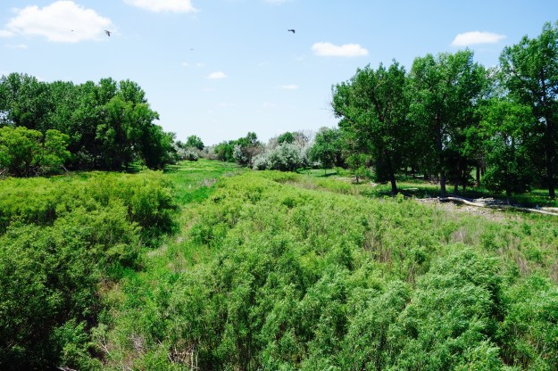 A seasonal riverbed outside Haigler Nebraska