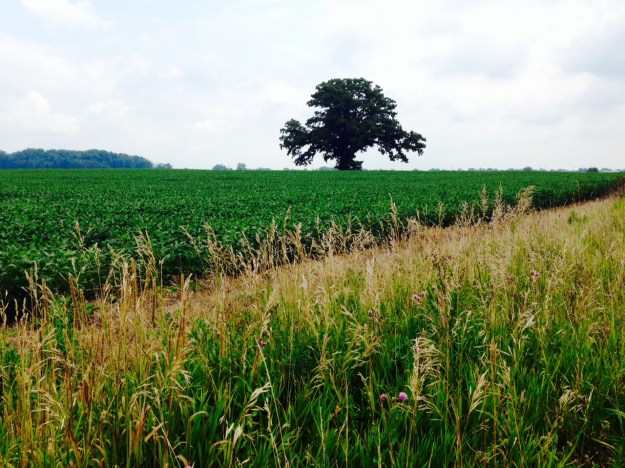 20 years ago the Shawshank Redemption was filmed in this area of Ohio
