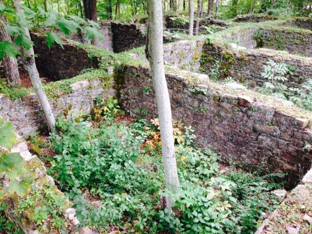 Tannery ruins in Lehigh gorge