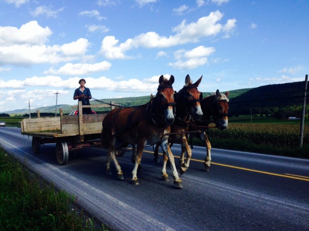 The Amish of Brush valley