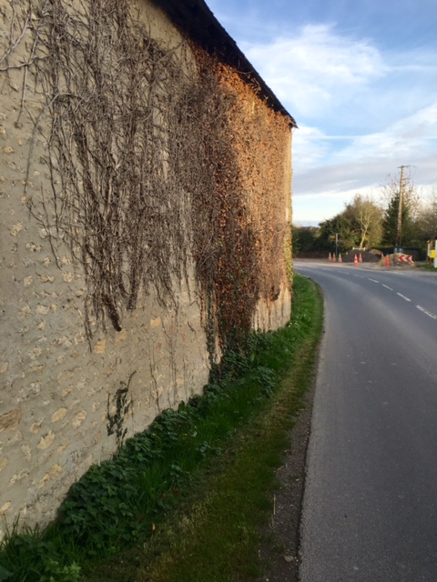 The Narrow Lanes of Normandy
